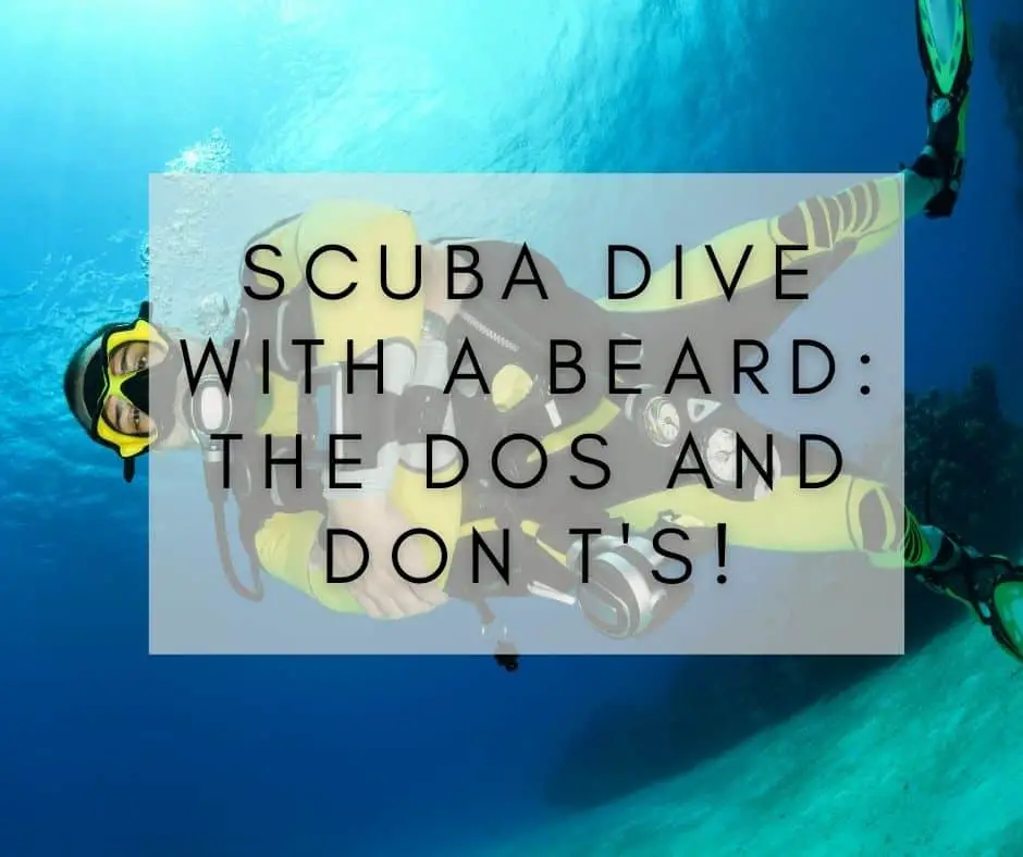 Scuba dive with a beard: The dos and don t’s!