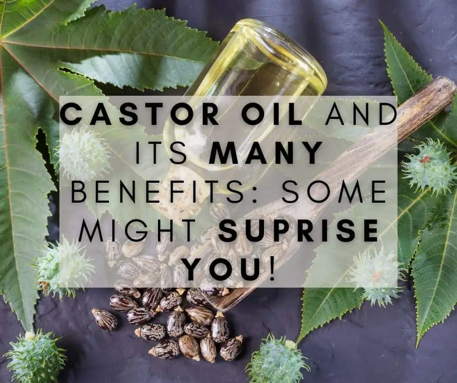 Castor Oil and its Many Benefits Some Might Suprise You!
