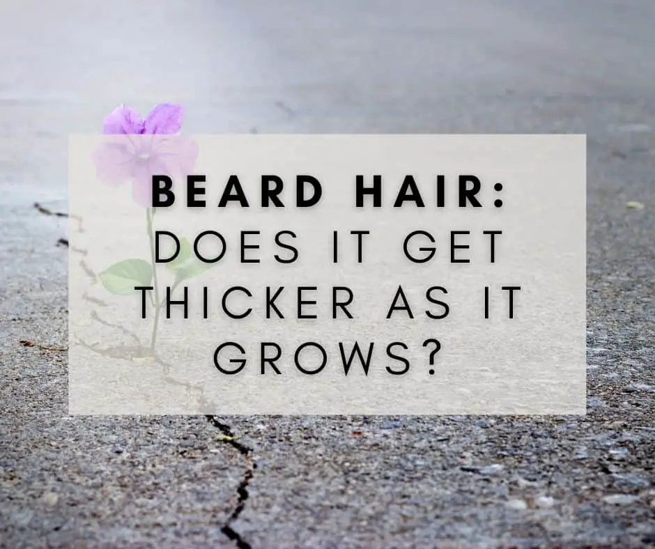 Beard Hair: Does It Get Thicker As It Grows? Explained!