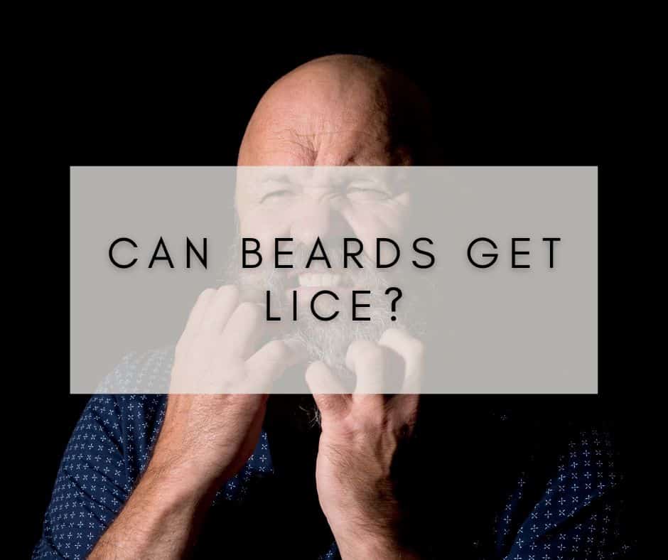 Can Beards Get Lice? Exploring the Possibility of Lice Infestations in Facial Hair